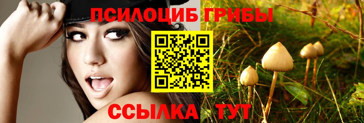 Галлюциногенные грибы мухоморы  Вход с VPN  Канск 